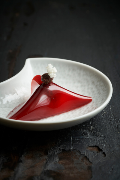 Ganache van chocolade met flexibele gel van rood fruit